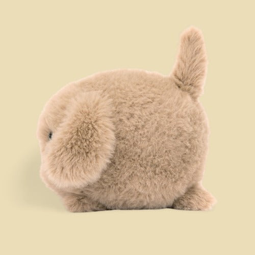 Caboodle Puppy
