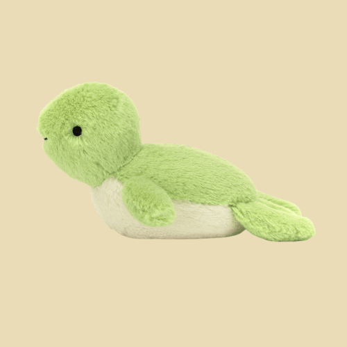 Fluffy Turtle - St Paul's Collectives Er