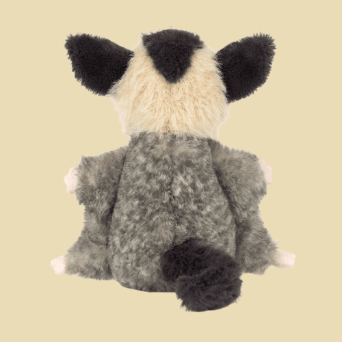 Lolly Sugar Glider - St Paul's Collectives Er
