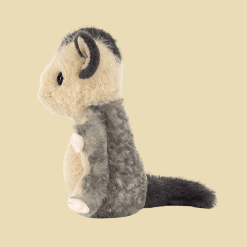 Lolly Sugar Glider - St Paul's Collectives Er