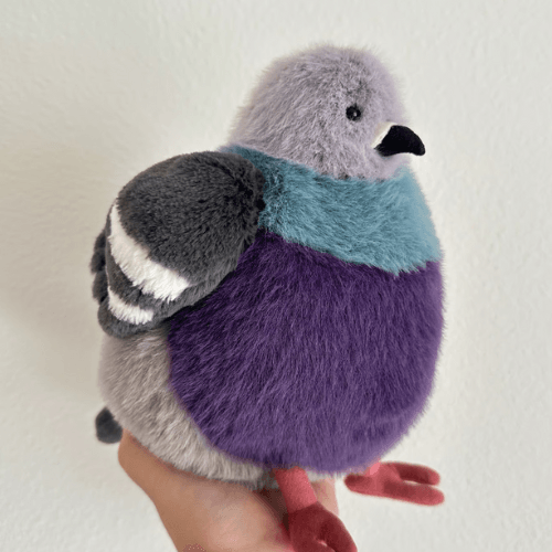 Leicester Pigeon - St Paul's Collectives Er