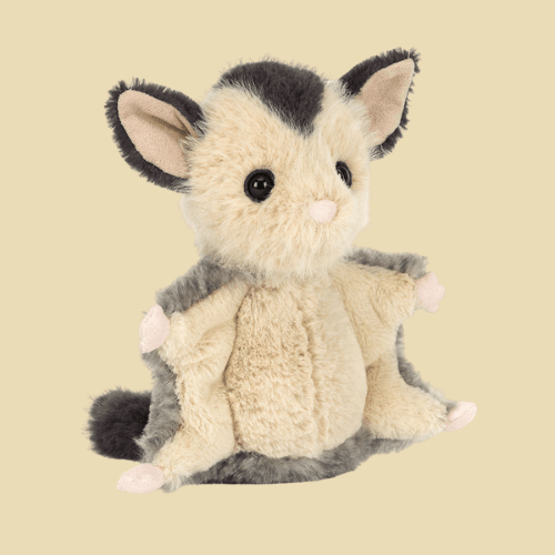 Lolly Sugar Glider - St Paul's Collectives Er