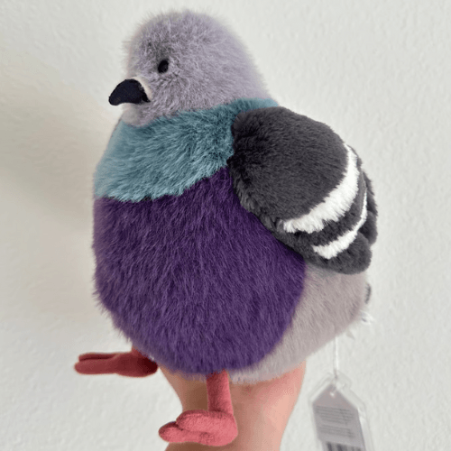 Leicester Pigeon - St Paul's Collectives Er