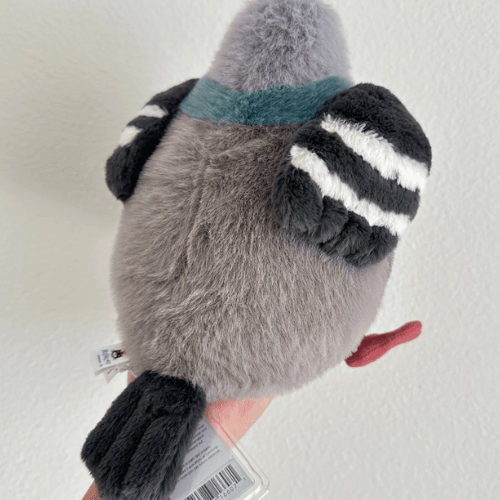 Leicester Pigeon - St Paul's Collectives Er
