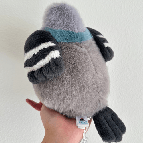 Leicester Pigeon - St Paul's Collectives Er