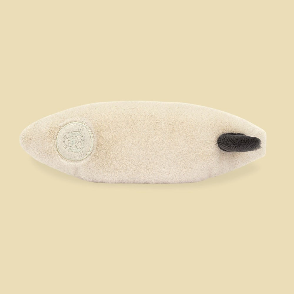 amuseables-sports-surfboard