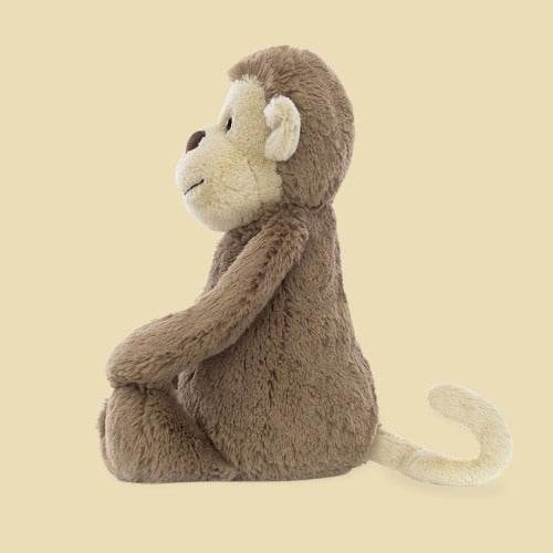 Bashful Monkey - St Paul's Collectives Er