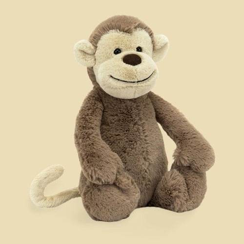 Bashful Monkey - St Paul's Collectives Er