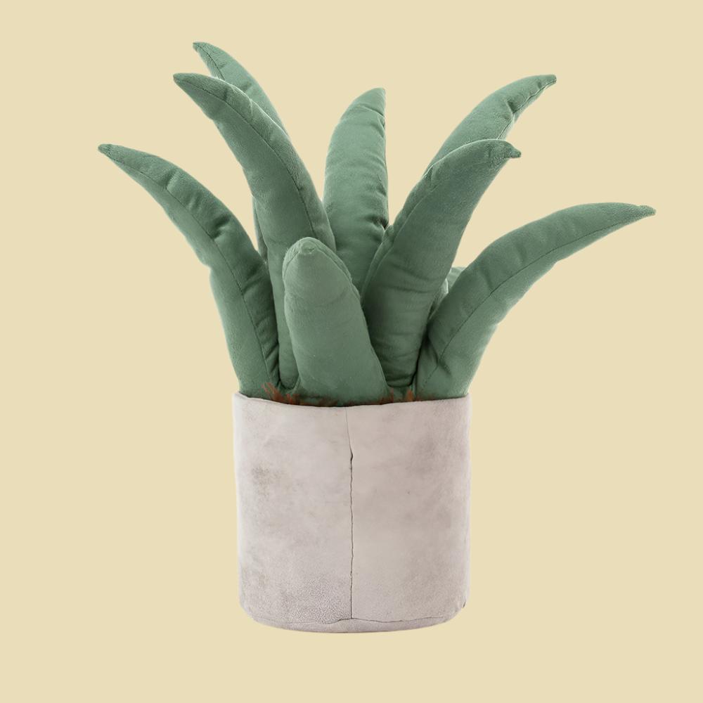 amuseables-aloe-vera