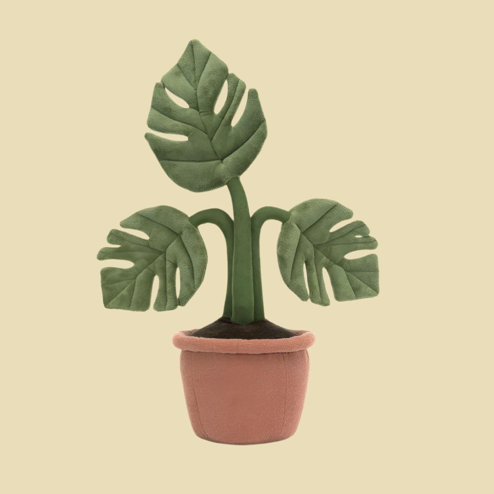 Amuseables-Monstera-Plant