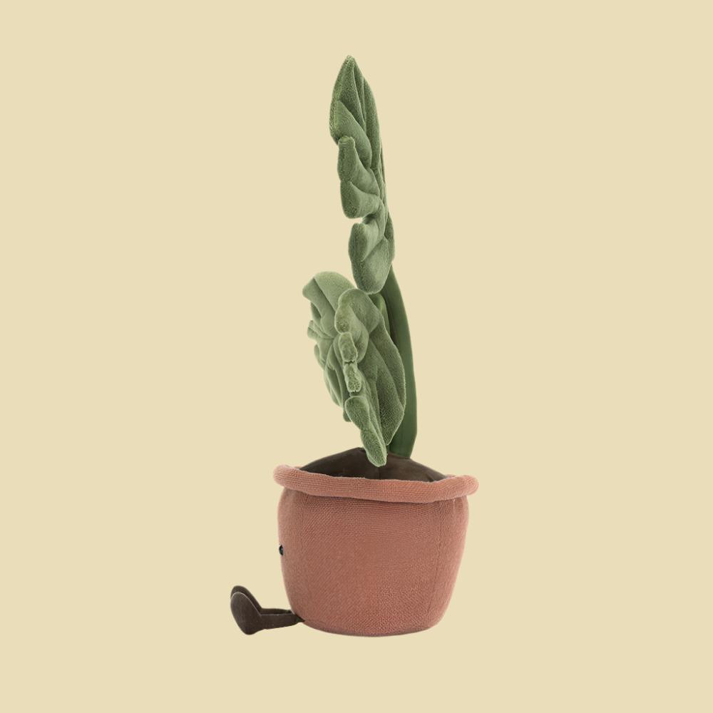 Amuseables-Monstera-Plant