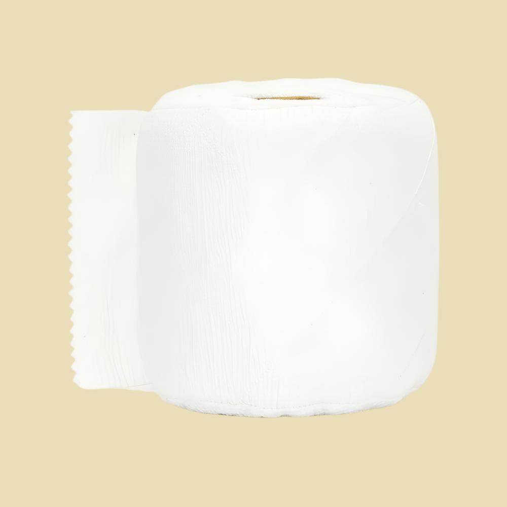 Amuseables Toilet Roll - St Paul's Collectives Er