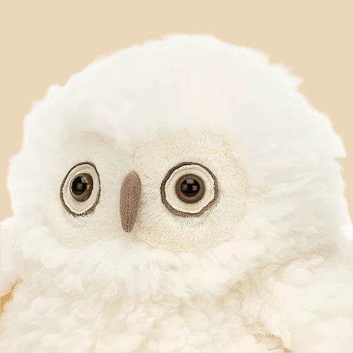 Apollo Owl - St Paul's Collectives Er