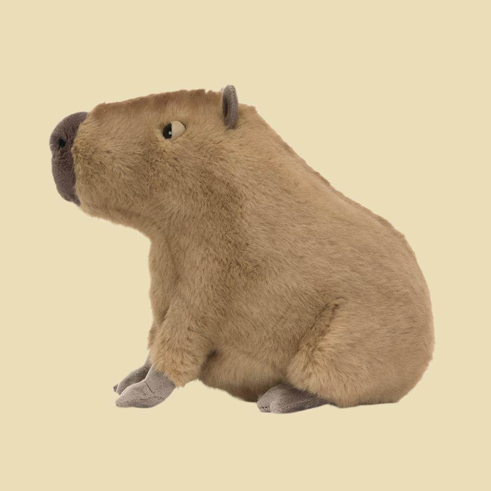 Clyde Capybara - St Paul's Collectives Er