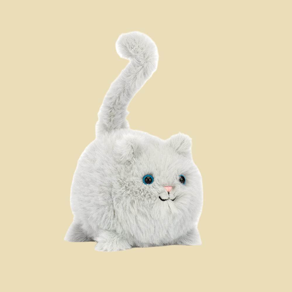 Kitten Caboodle - St Paul's Collectives Er