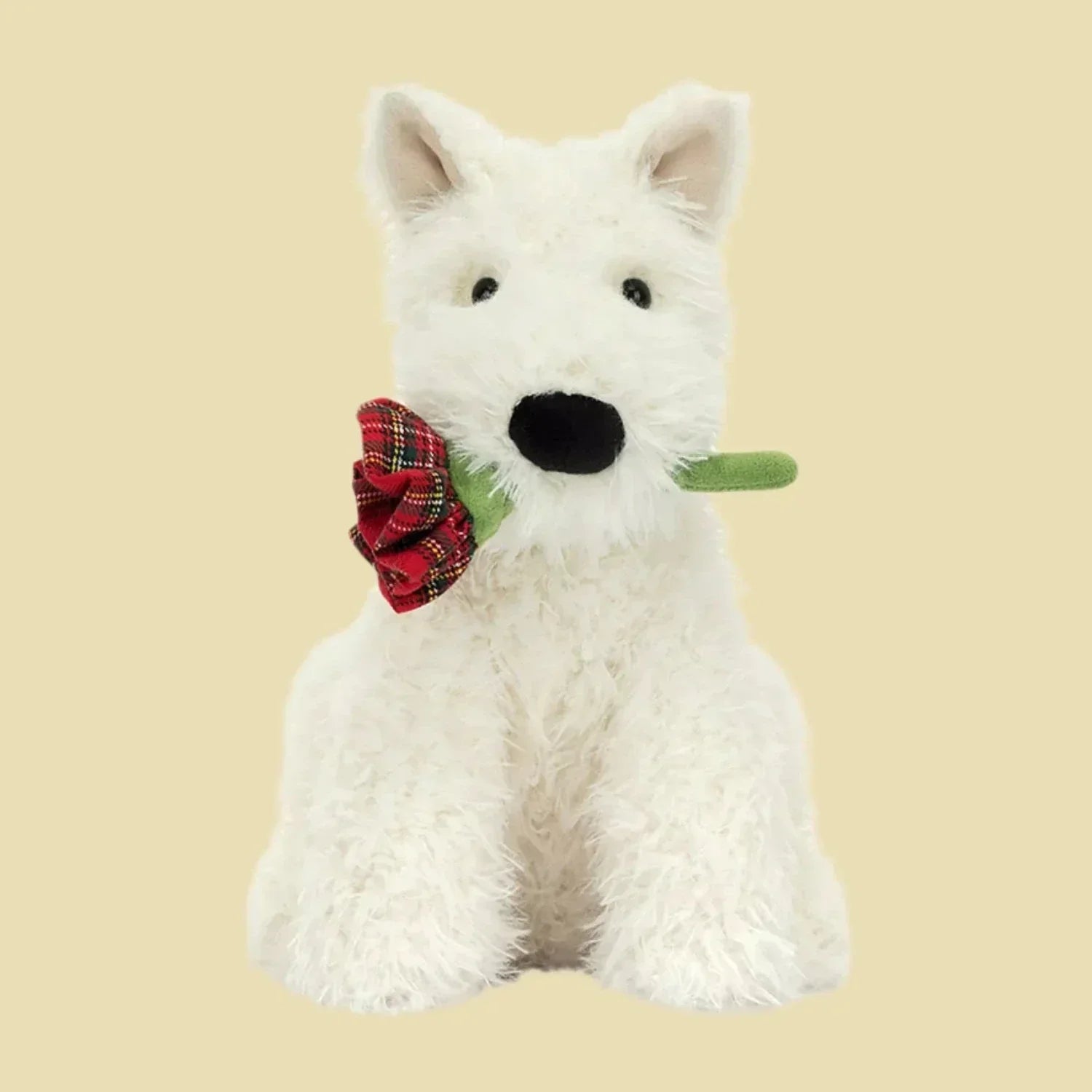Munro Scottie Valentines Rose 1