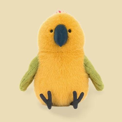 Budgeby Parrot - St Paul's Collectives Er