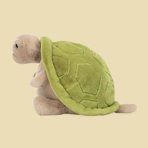 Timmy Turtle - St Paul's Collectives Er