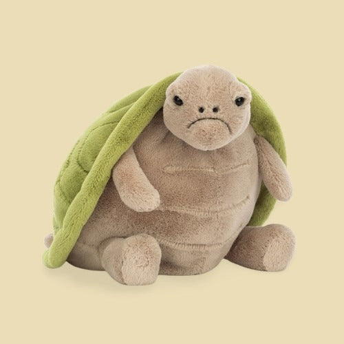 timmy-turtle