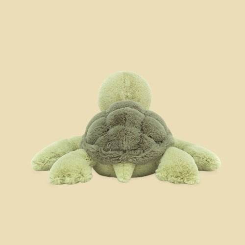 Tully Turtle - St Paul's Collectives Er